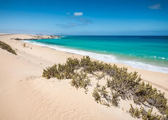 Home2book Sunny Terrace Getaway Puerto Lajas Appartamento Puerto de las Lajas